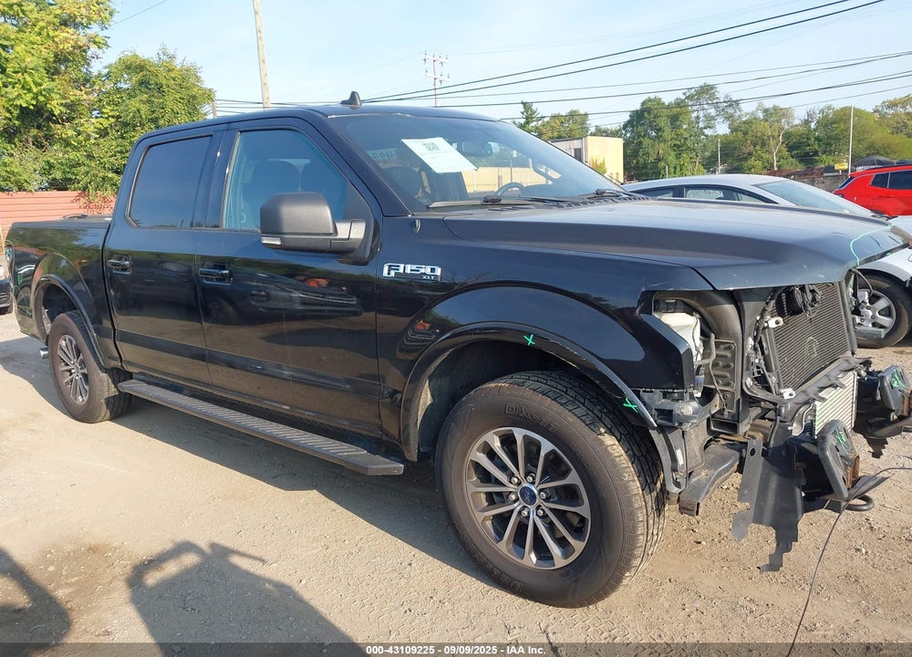 2019 FORD F-150 XLT VIN: 1FTEW1EP1KFC18304