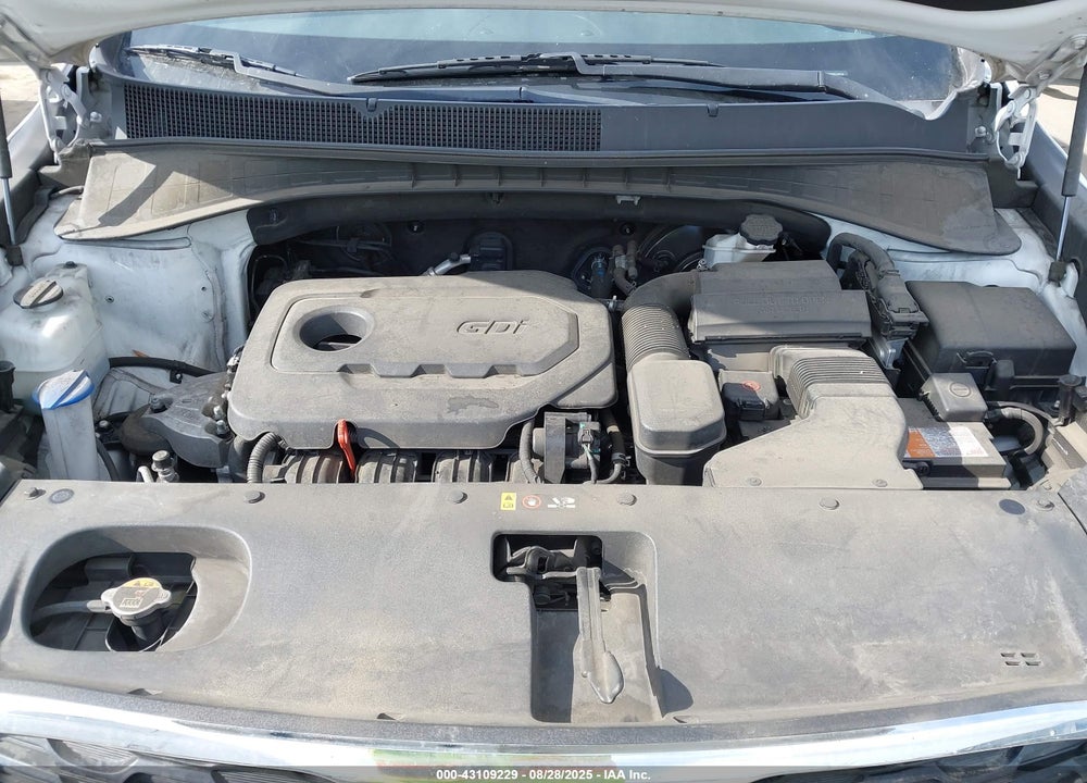 2019 KIA SORENTO VIN: 5XYPG4A3XKG516079