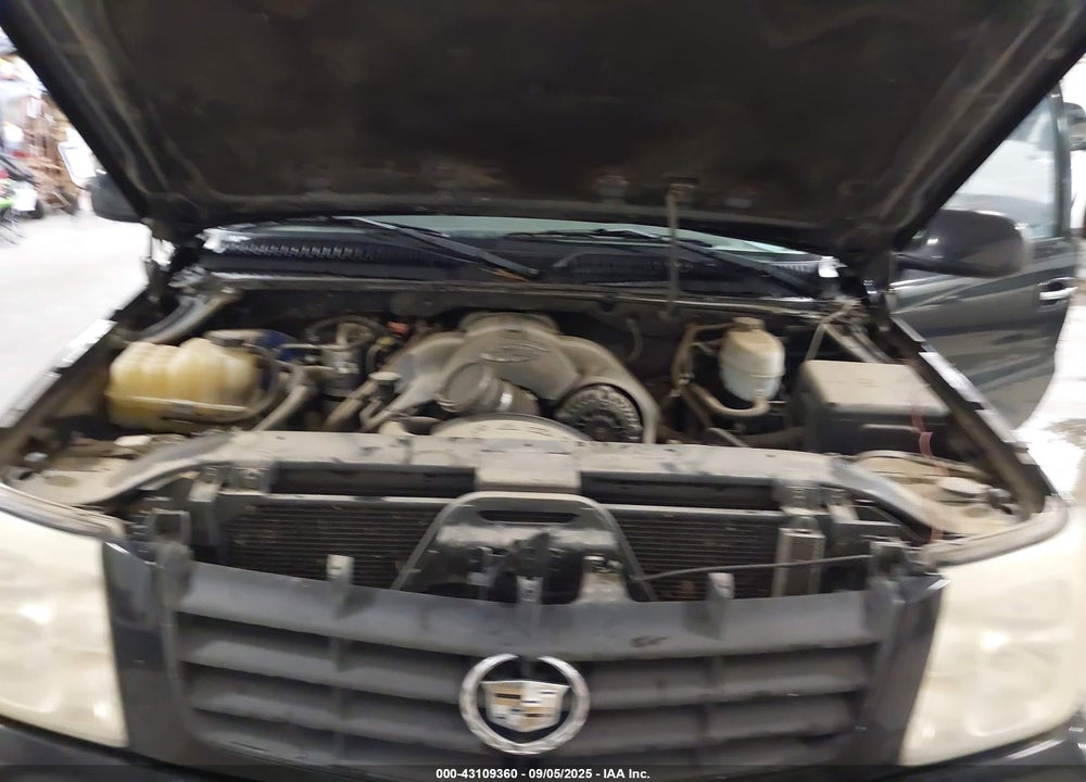 2004 CADILLAC ESCALADE ESV STANDARD VIN: 3GYFK66N14G238364
