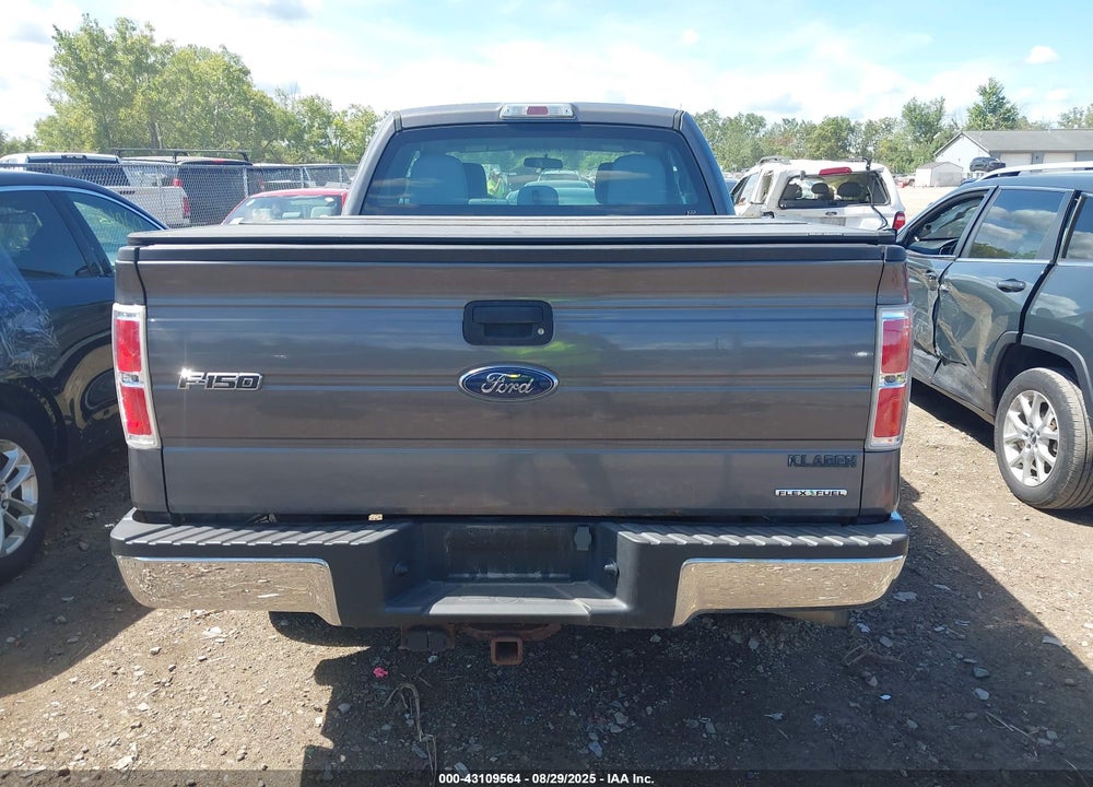 2013 FORD F-150 VIN: 1FTFX1EF1DKD04506