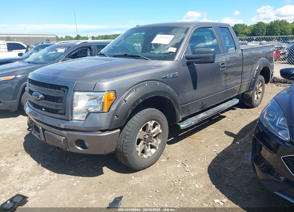 2013 FORD F-150 VIN: 1FTFX1EF1DKD04506