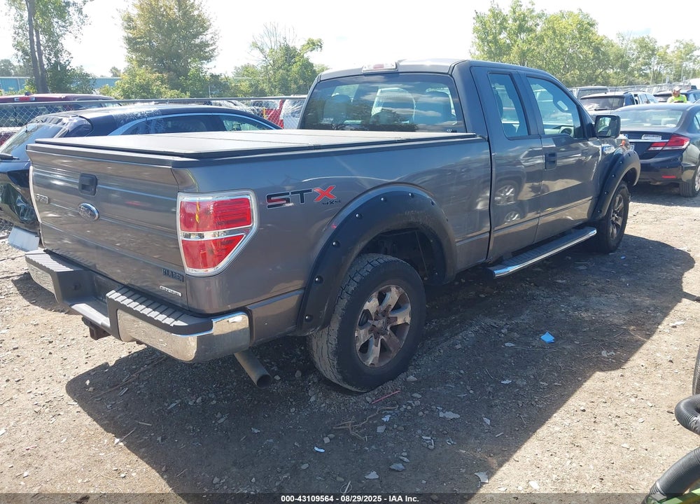 2013 FORD F-150 VIN: 1FTFX1EF1DKD04506
