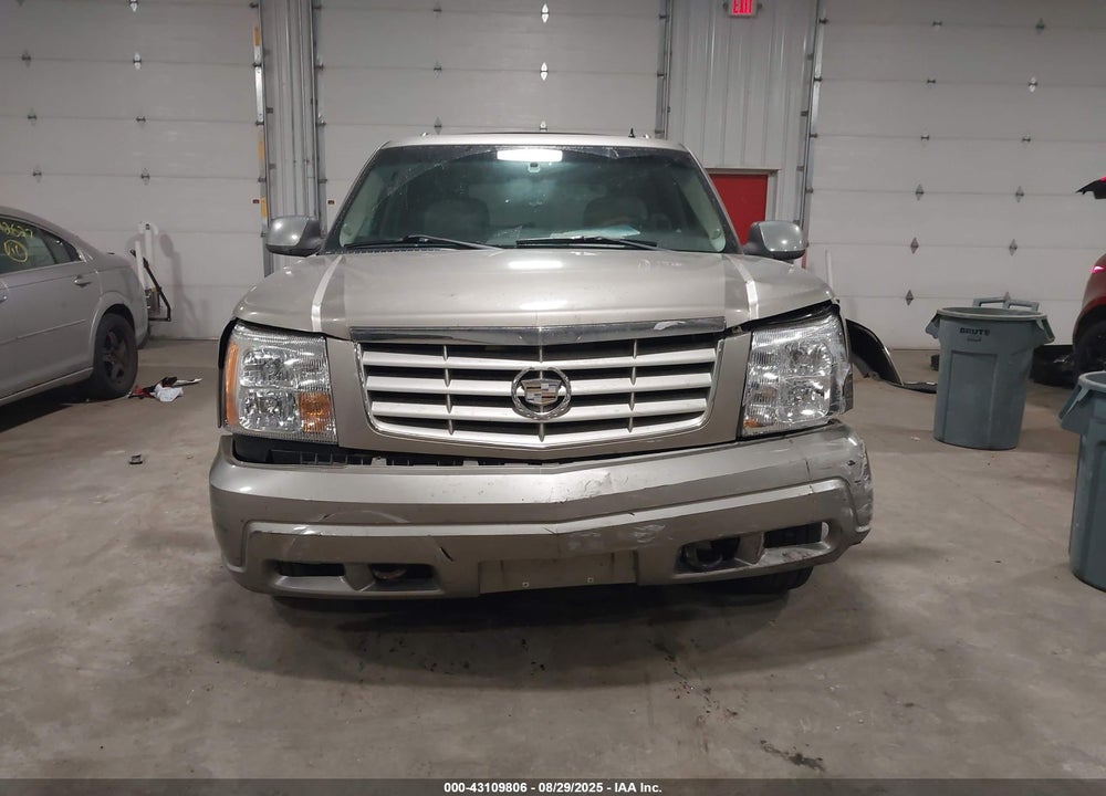 2002 CADILLAC ESCALADE STANDARD VIN: 1GYEK63N82R250010