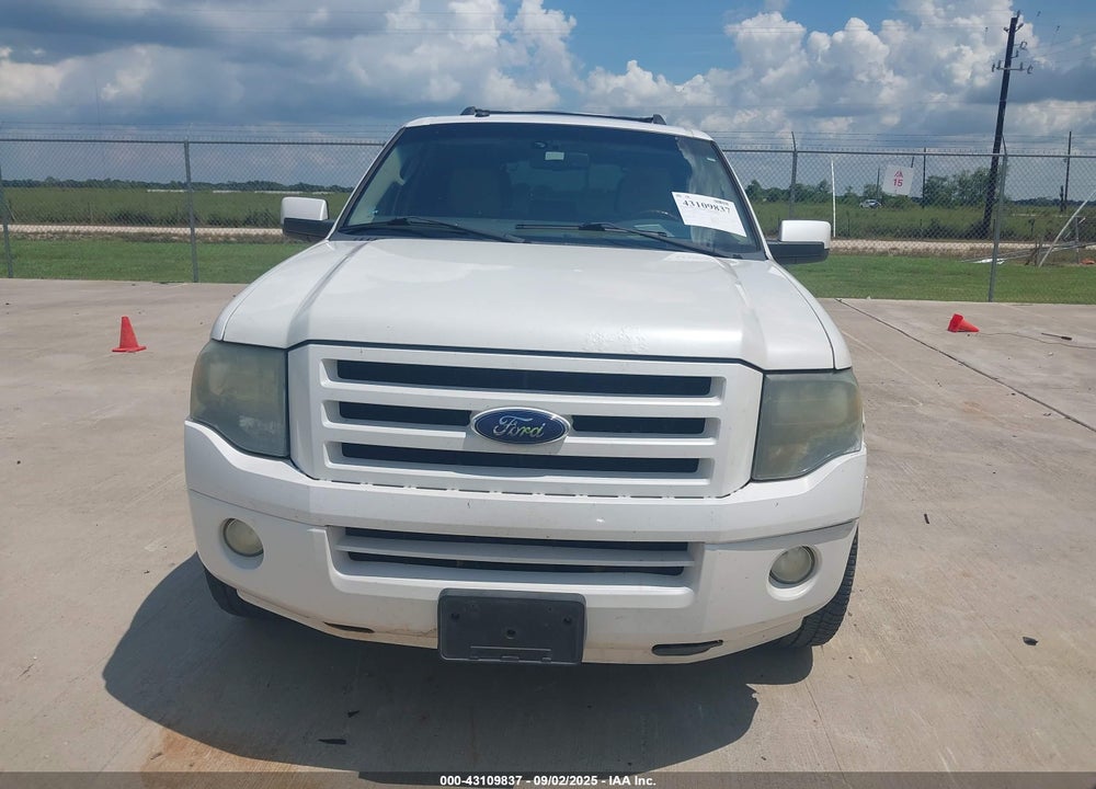 2010 FORD EXPEDITION VIN: 1FMJK1K59AEB52291