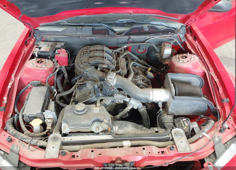 2011 FORD MUSTANG V6 VIN: 1ZVBP8AM9B5138868