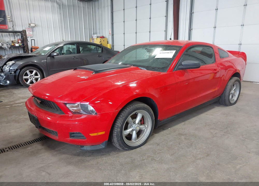 2011 FORD MUSTANG V6 VIN: 1ZVBP8AM9B5138868