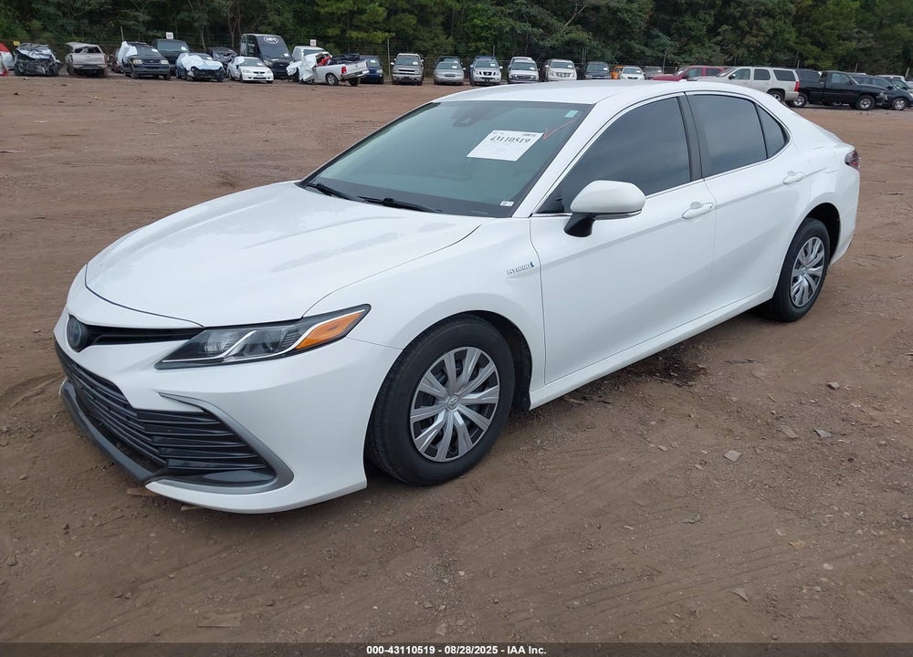 2021 TOYOTA CAMRY VIN: 4T1C31AK9MU551595