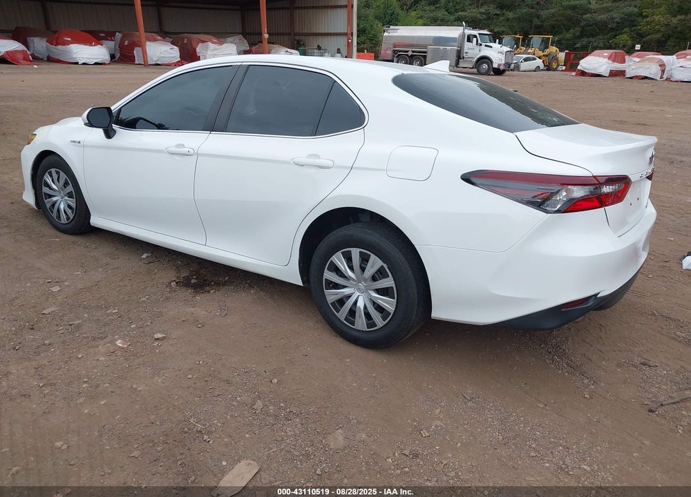 2021 TOYOTA CAMRY VIN: 4T1C31AK9MU551595