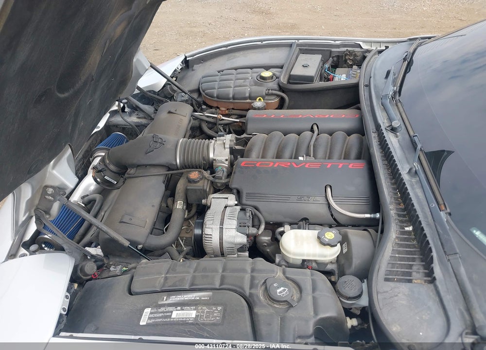 2002 CHEVROLET CORVETTE VIN: 1G1YY22G925123313