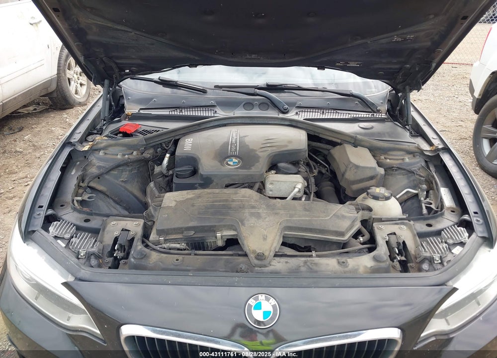 2015 BMW 228I VIN: WBA1G9C50FVX96835