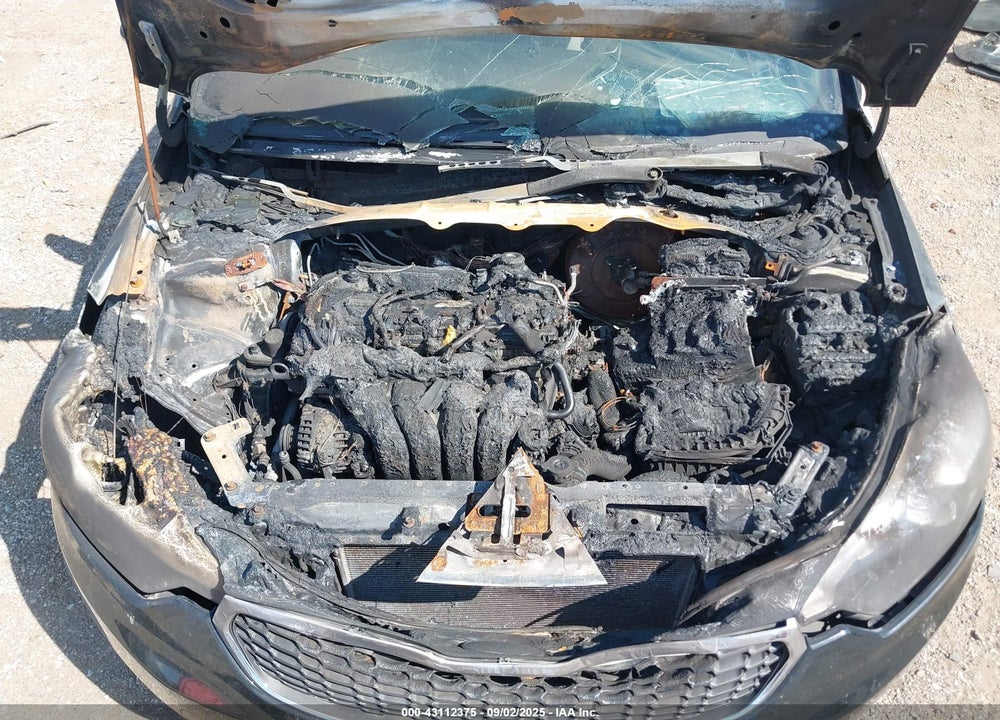 2014 KIA FORTE VIN: KNAFX4A81E5095936