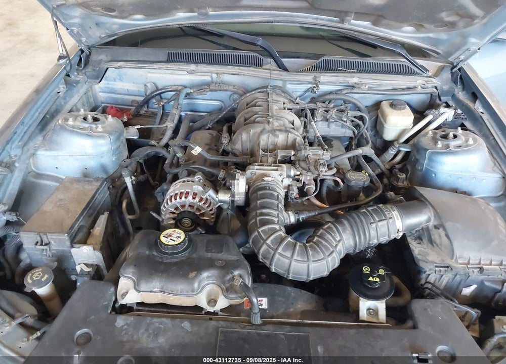 2008 FORD MUSTANG V6 DELUXE/V6 PREMIUM VIN: 1ZVHT80N585113426