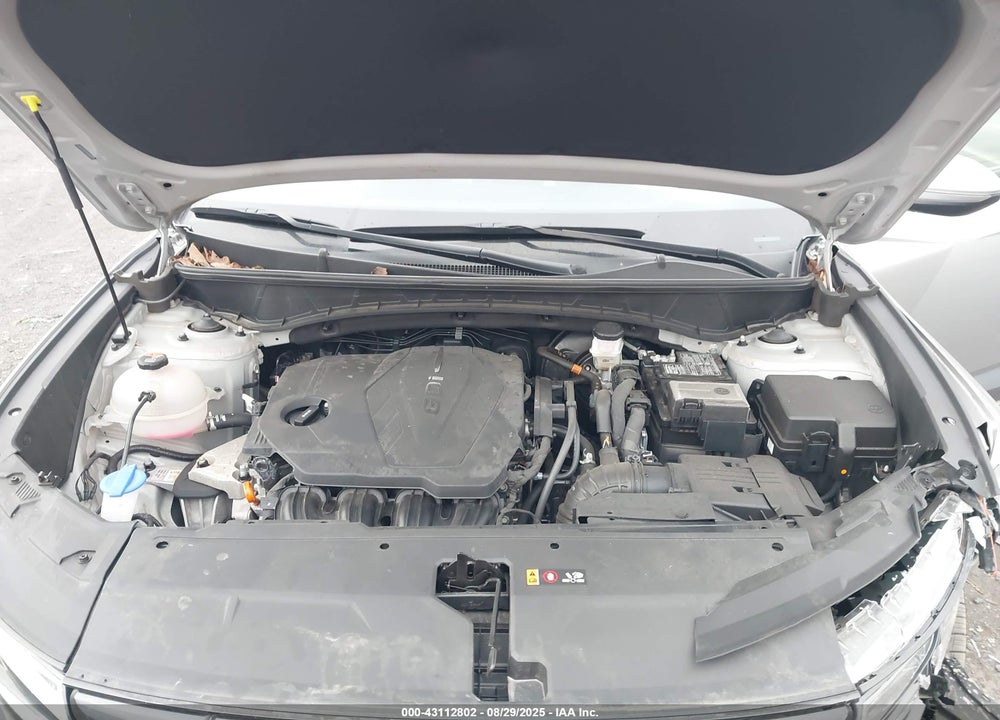 2024 HYUNDAI TUCSON VIN: 5NMJFCDE3RH326446