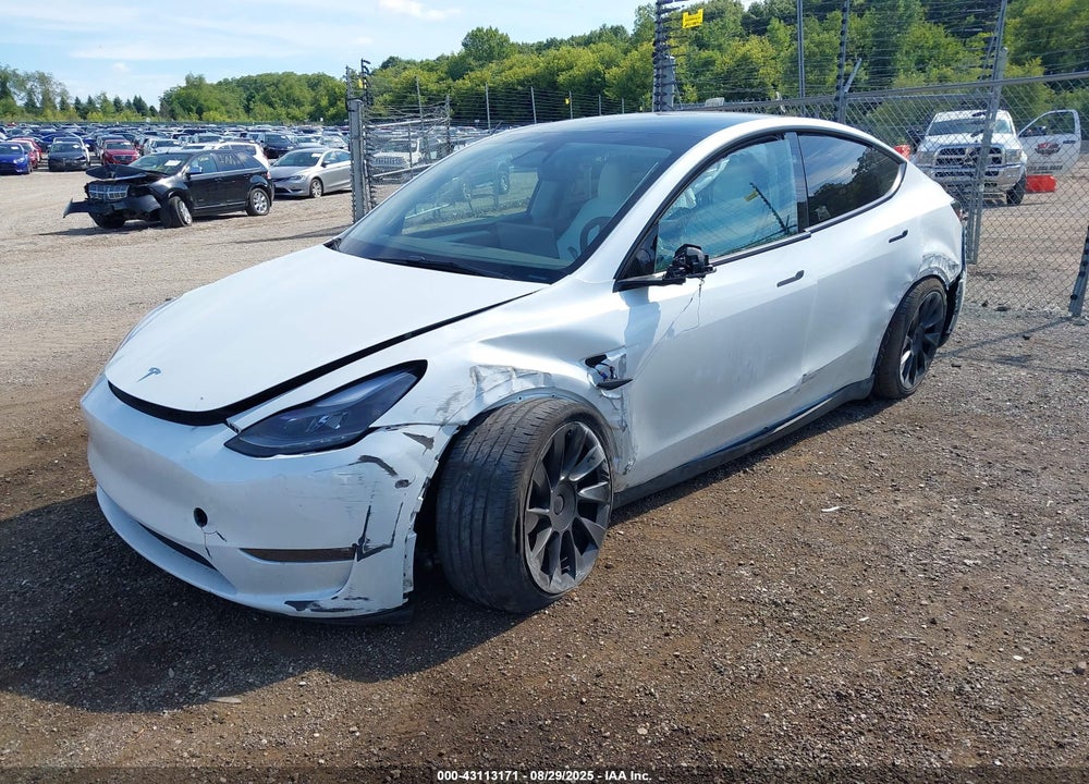 2023 TESLA MODEL Y VIN: 7SAYGDEE0PF890671
