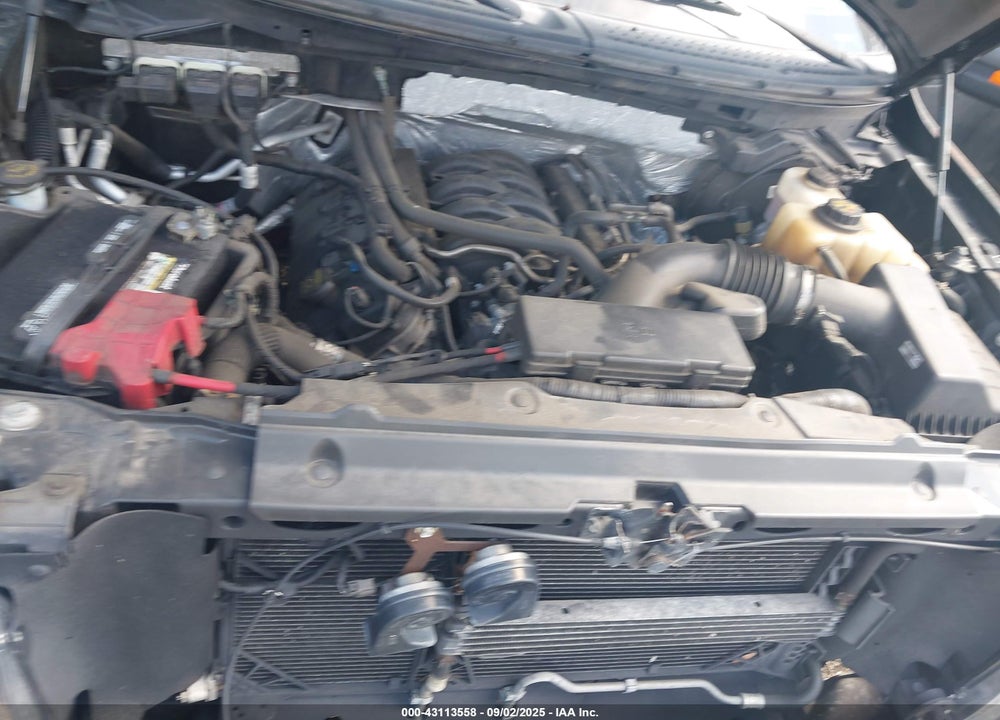 2013 FORD F-150 VIN: 1FTFX1EF8DFA77176