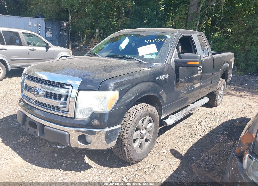 2013 FORD F-150 VIN: 1FTFX1EF8DFA77176