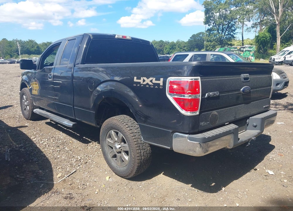 2013 FORD F-150 VIN: 1FTFX1EF8DFA77176
