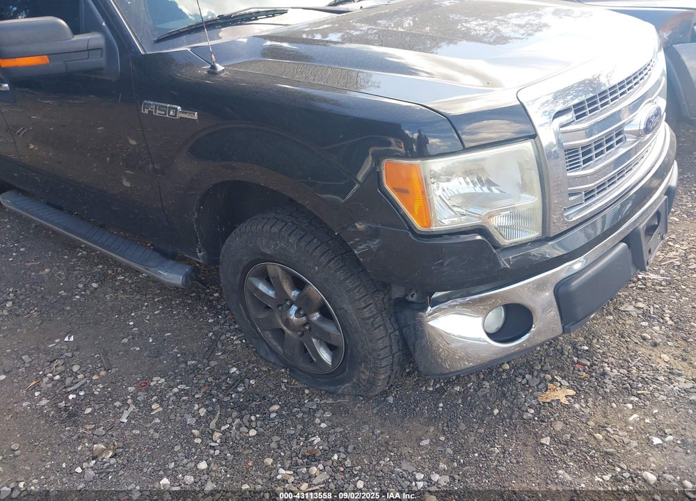 2013 FORD F-150 VIN: 1FTFX1EF8DFA77176