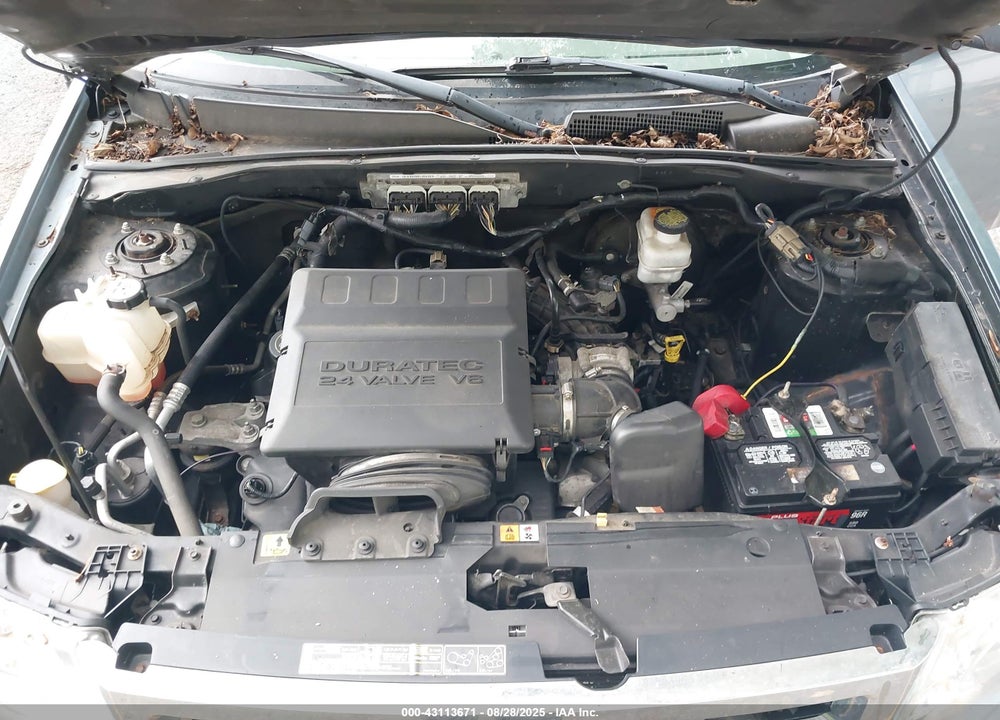 2012 FORD ESCAPE XLT VIN: 1FMCU9DG3CKA11205