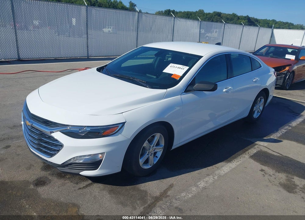 2019 CHEVROLET MALIBU VIN: 1G1ZC5ST9KF182521