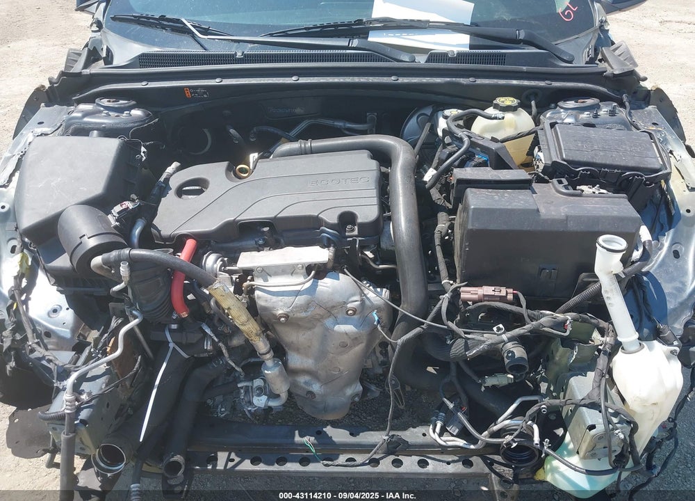 2019 CHEVROLET MALIBU VIN: 1G1ZD5ST6KF143253
