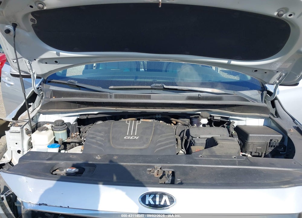 2015 KIA SEDONA VIN: KNDMC5C18F6019945