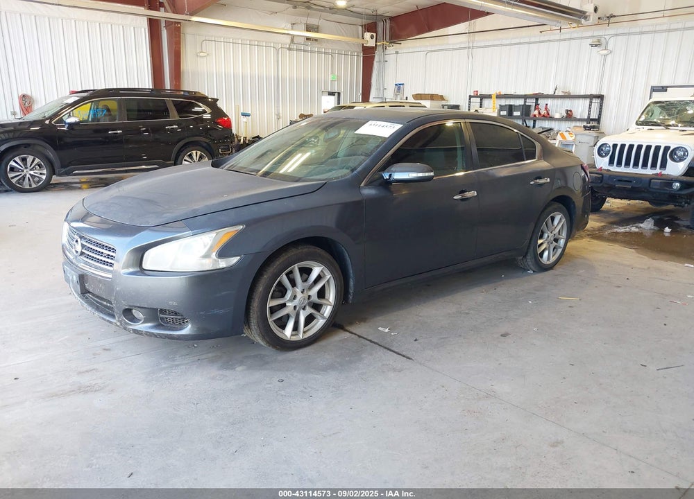 2010 NISSAN MAXIMA 3.5 SV VIN: 1N4AA5AP3AC821660
