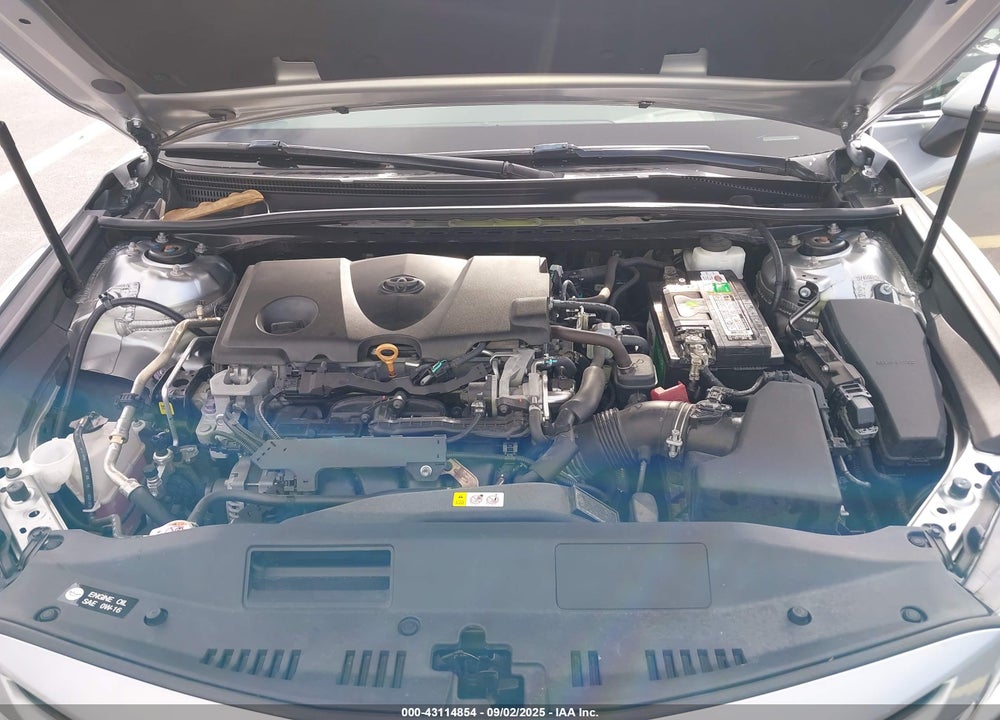 2019 TOYOTA CAMRY SE VIN: 4T1B11HKXKU174697