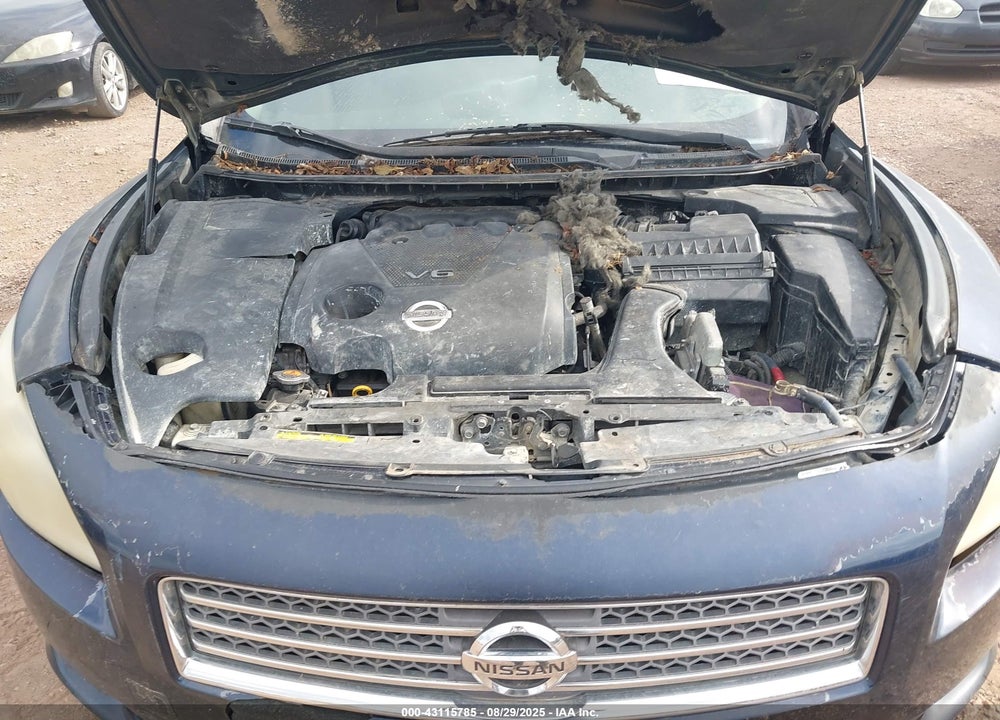 2010 NISSAN MAXIMA VIN: 1N4AA5AP9AC822408
