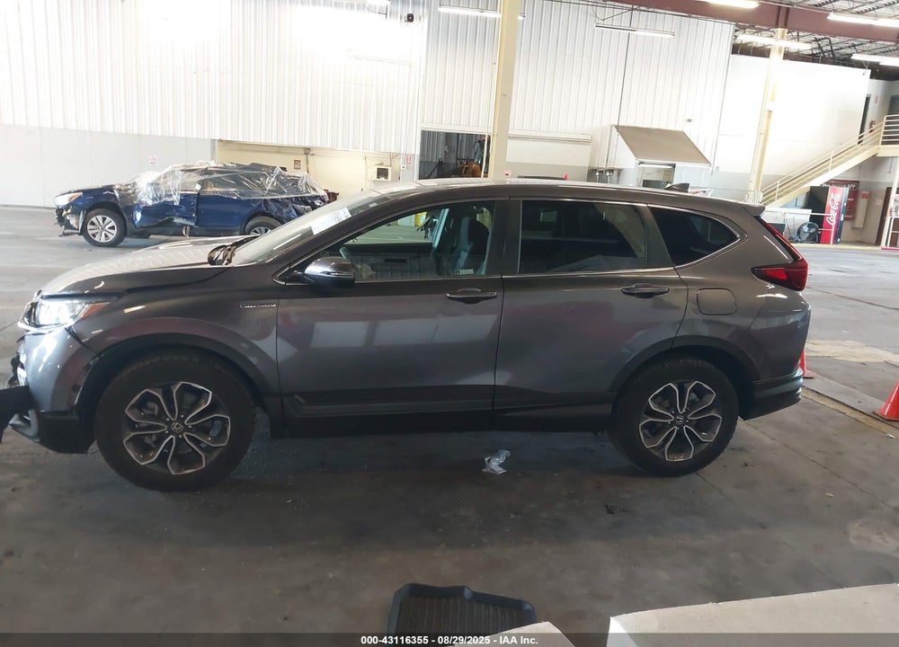2022 HONDA CR-V VIN: 5J6RT6H56NL037524