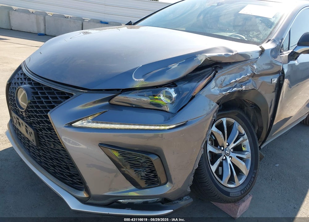 2020 LEXUS NX 300 VIN: JTJSARBZXL2161435