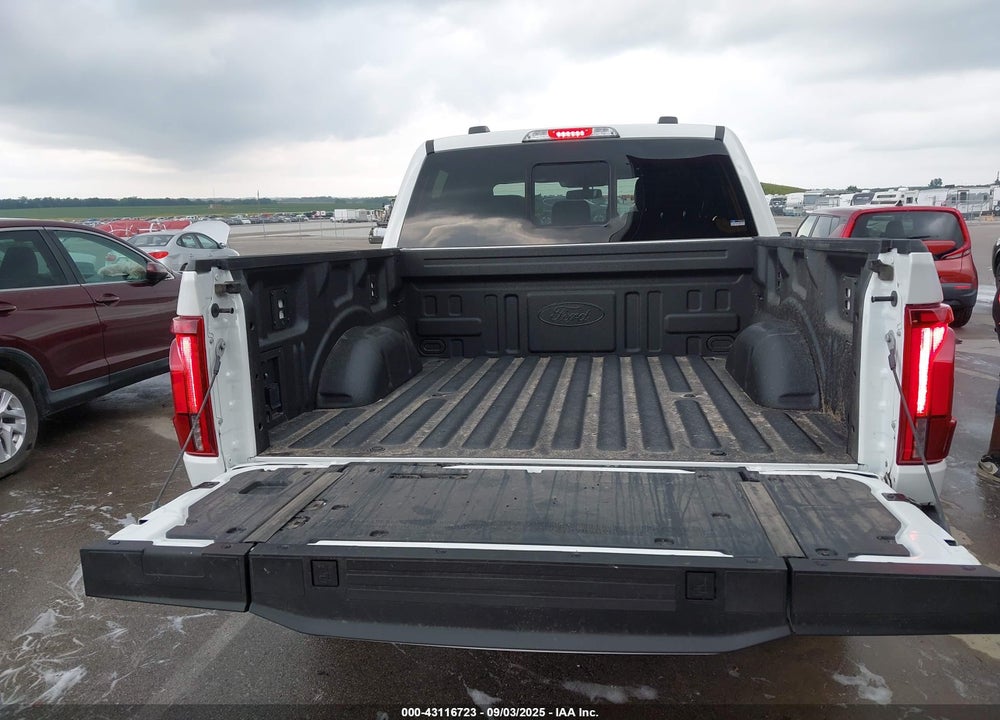 2025 FORD F-150 KING RANCH VIN: 1FTFW6L87SFB60079