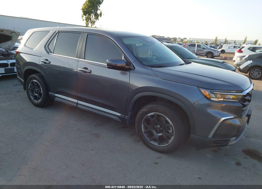 2024 HONDA PILOT EX-L VIN: 5FNYG2H46RB009530