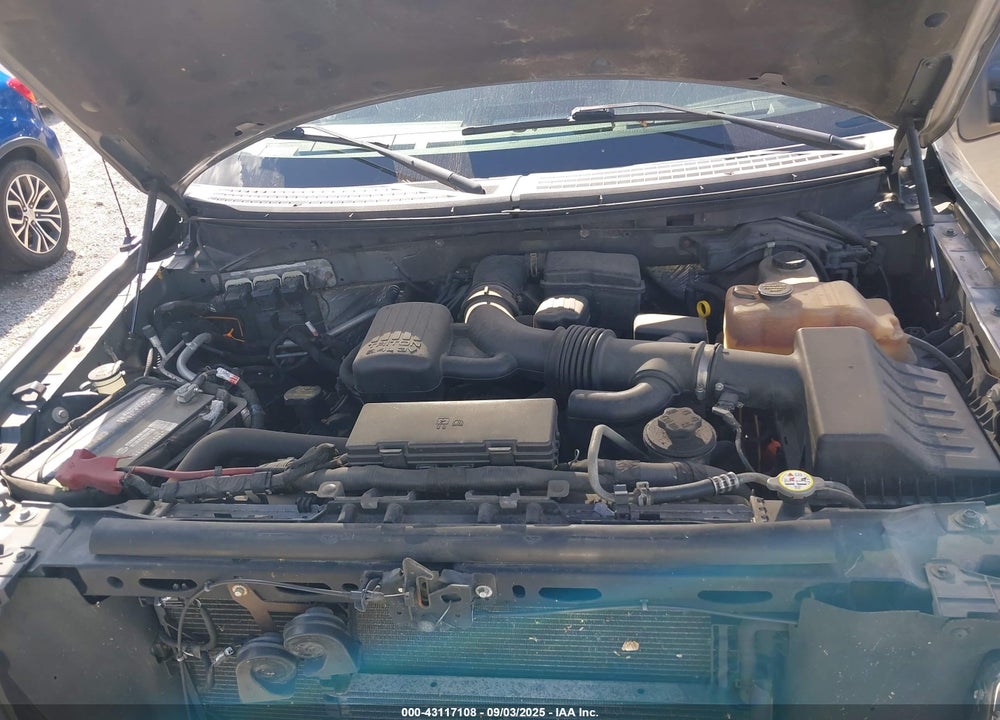 2010 FORD F-150 VIN: 1FTFW1EV6AFB05871