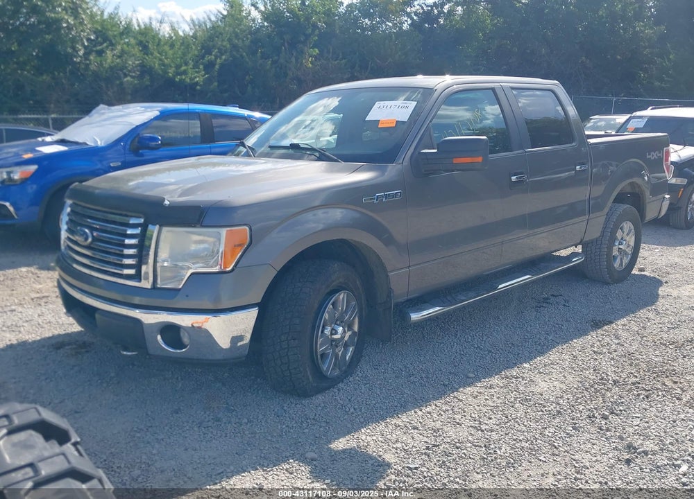 2010 FORD F-150 VIN: 1FTFW1EV6AFB05871