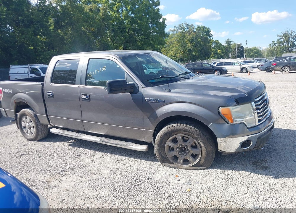 2010 FORD F-150 VIN: 1FTFW1EV6AFB05871