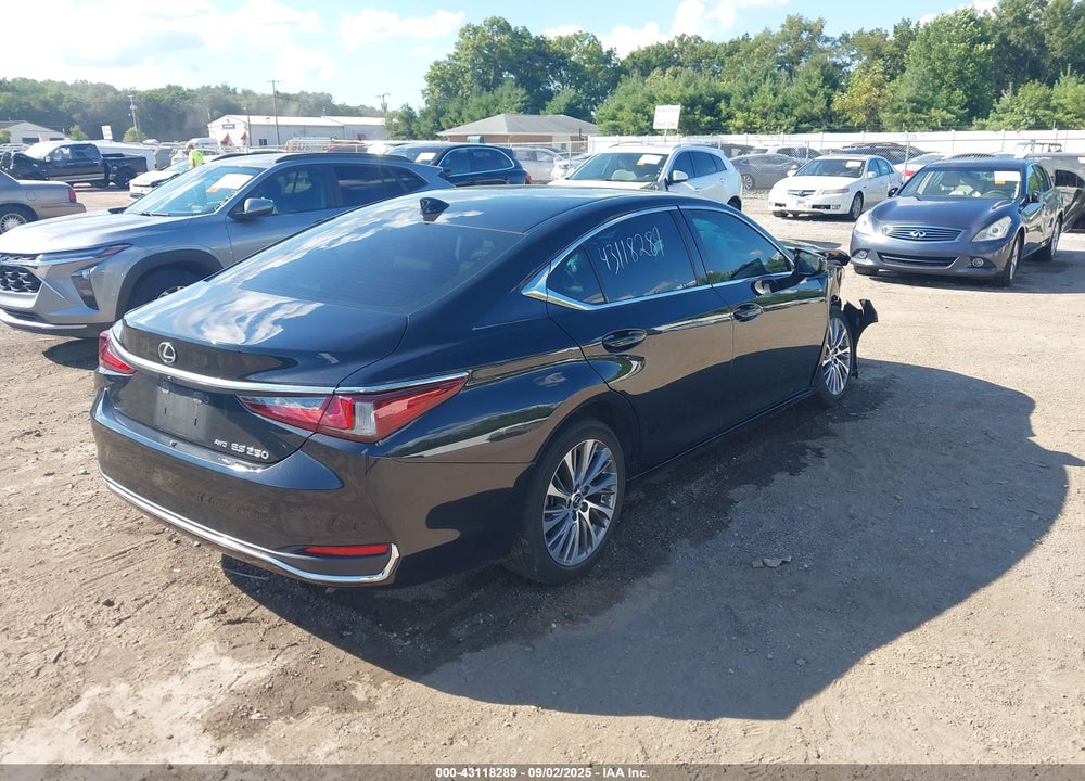 2021 LEXUS ES 250 VIN: 58AD11D11MU007825