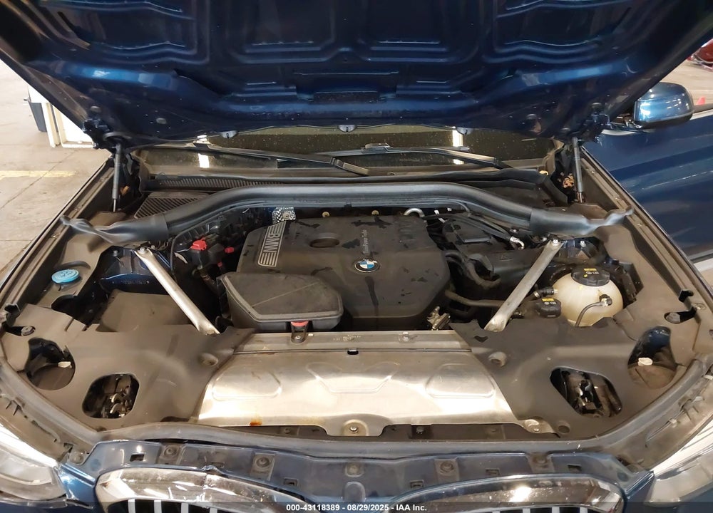 2019 BMW X3 VIN: 5UXTR9C55KLR09432