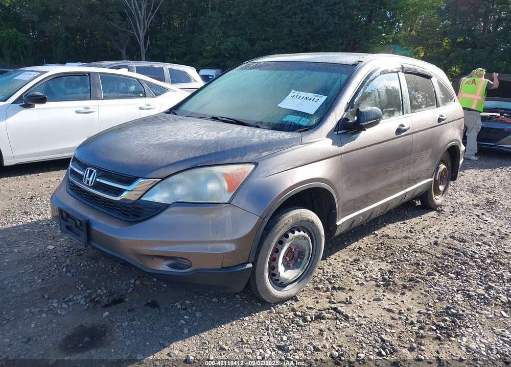 2010 HONDA CR-V VIN: 5J6RE4H34AL066981