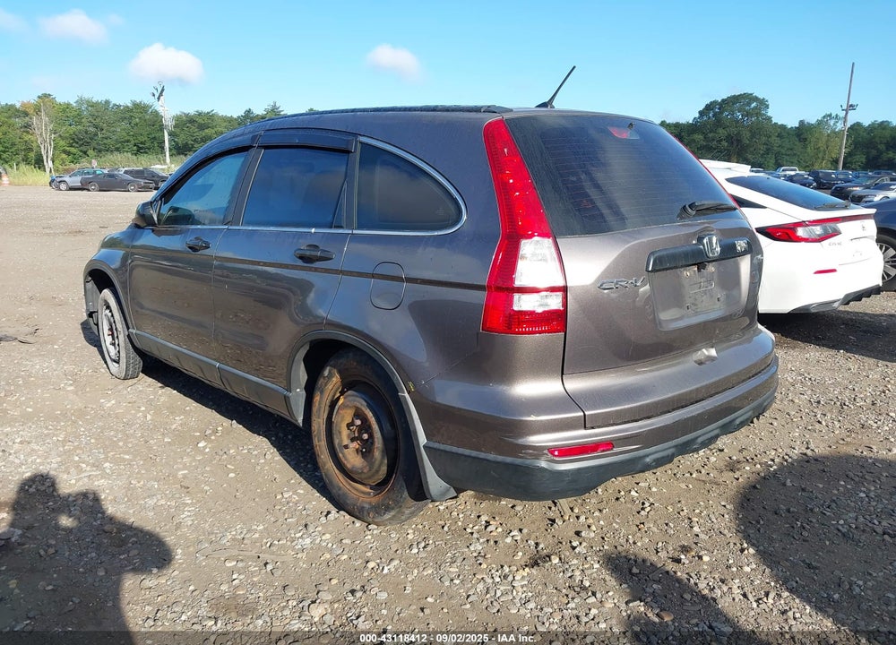 2010 HONDA CR-V VIN: 5J6RE4H34AL066981