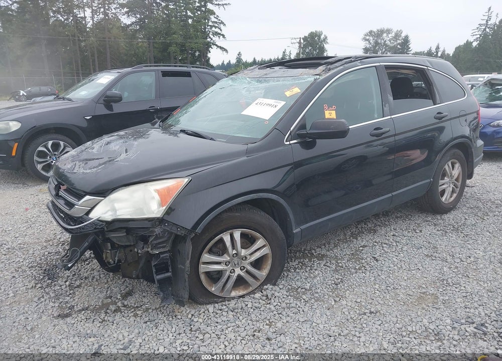 2010 HONDA CR-V VIN: 5J6RE4H50AL032814