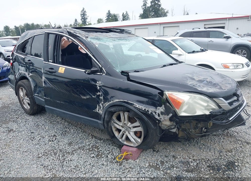 2010 HONDA CR-V VIN: 5J6RE4H50AL032814