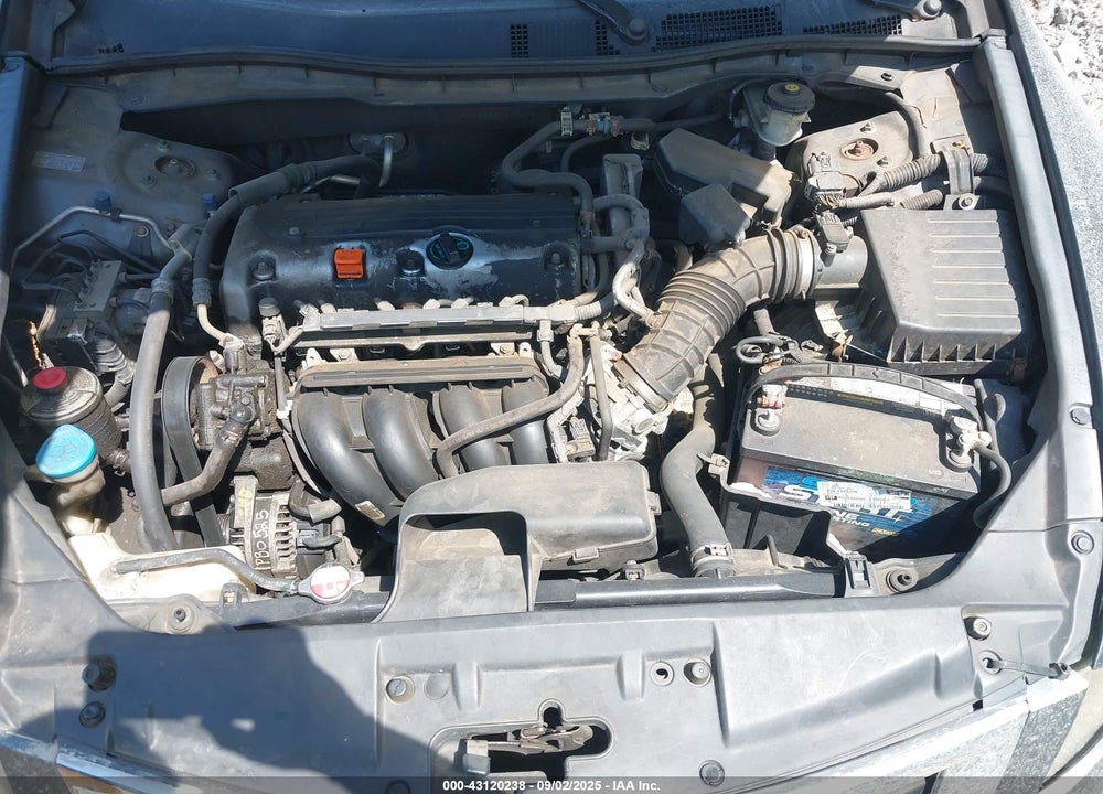 2010 HONDA ACCORD VIN: 1HGCP2F36AA194021