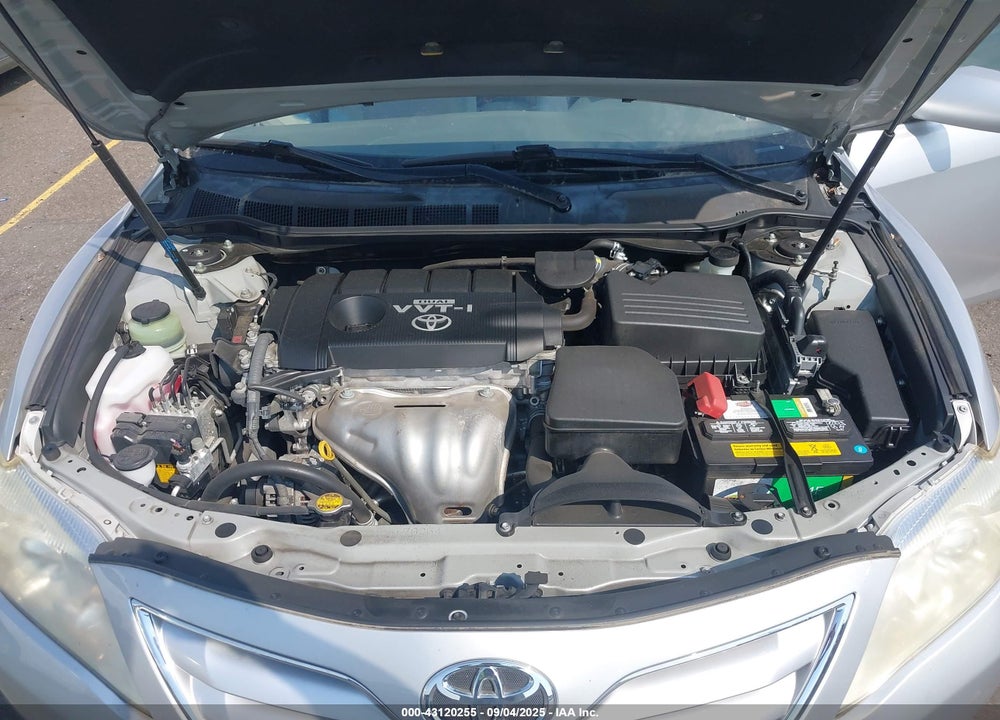 2010 TOYOTA CAMRY LE VIN: JTNBF3EK7A3004688