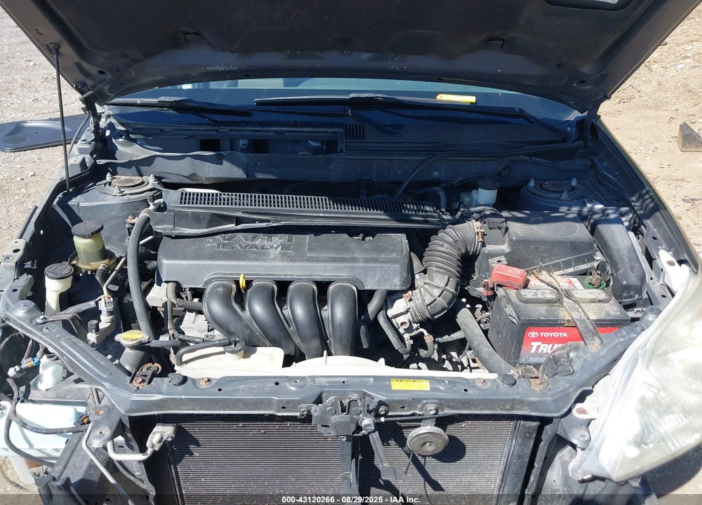 2007 TOYOTA MATRIX VIN: 2T1KR32E37C653737