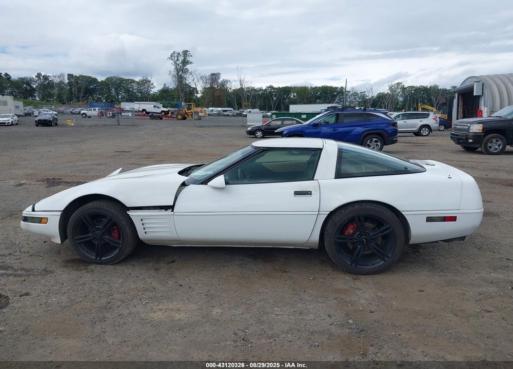 1994 CHEVROLET CORVETTE VIN: 1G1YY22P9R5102584