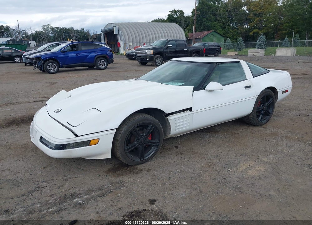 1994 CHEVROLET CORVETTE VIN: 1G1YY22P9R5102584