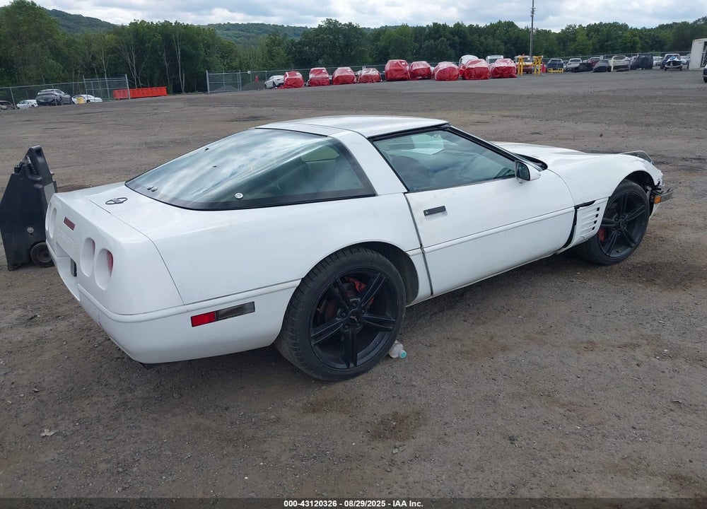 1994 CHEVROLET CORVETTE VIN: 1G1YY22P9R5102584