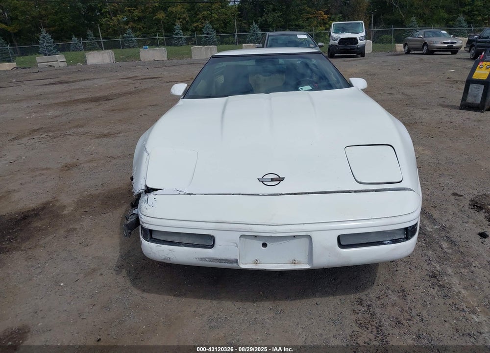 1994 CHEVROLET CORVETTE VIN: 1G1YY22P9R5102584