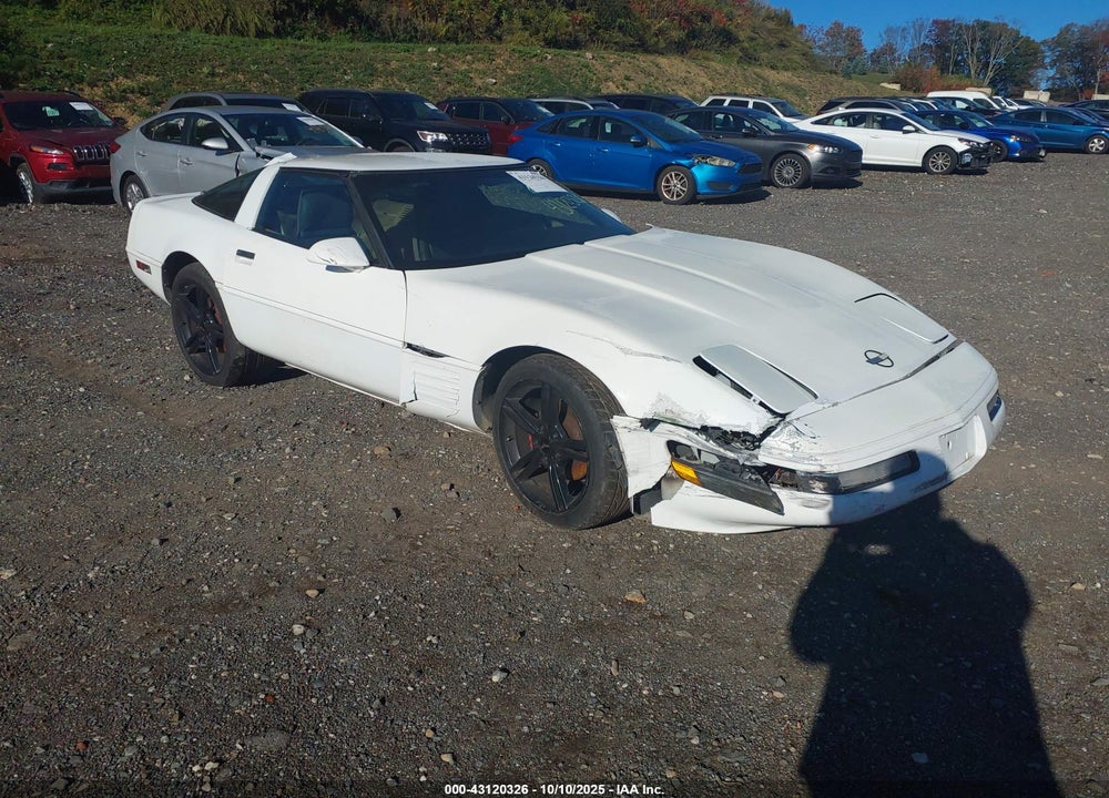 1994 CHEVROLET CORVETTE VIN: 1G1YY22P9R5102584
